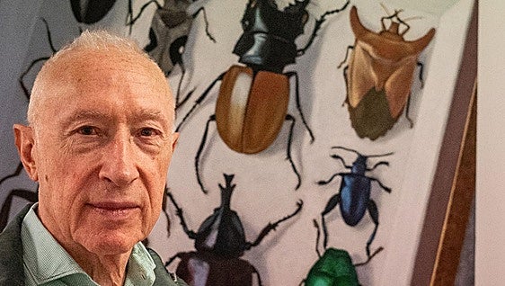 Sagastizabal pinta un réquiem por la desaparición de los insectos
