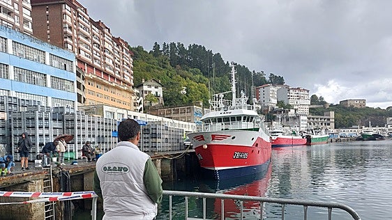 «Salir a la mar ahora no compensa»
