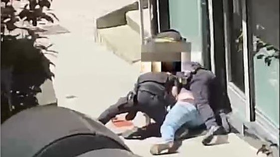 Añaden a las investigaciones del 'caso táser' de Santurtzi el informe policial sobre el vídeo de la actuación
