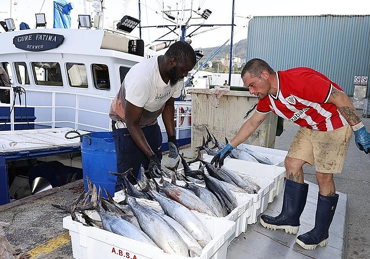 La costera del bonito echa el cierre sin aliviar la crisis de la flota tradicional de Bizkaia