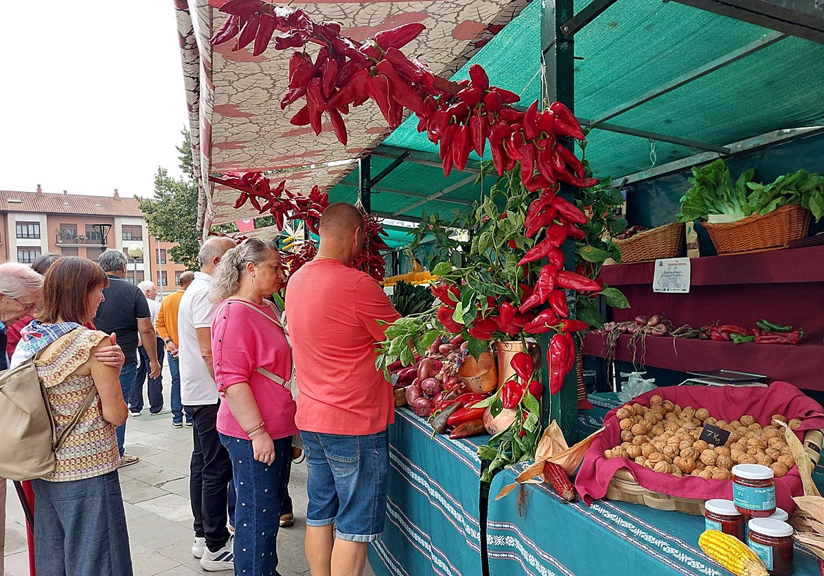 «Ser productor o ganadero es bonito, pero hoy en día no compensa»