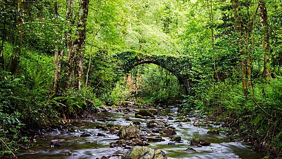 El rumor del río Golako