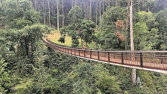 El nuevo puente 'tibetano' de Bermeo