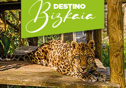 La oportunidad de conocer nuestro entorno más cercano y su oferta turística y de ocio