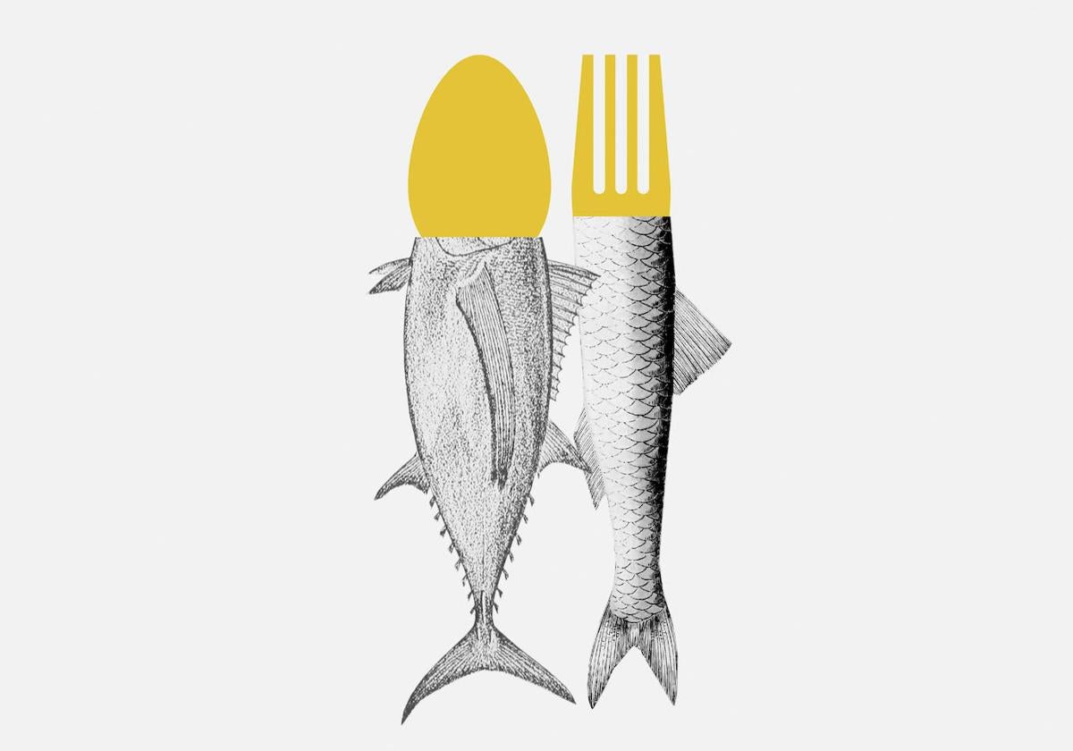 Bonito y una semilla de limón en Licata