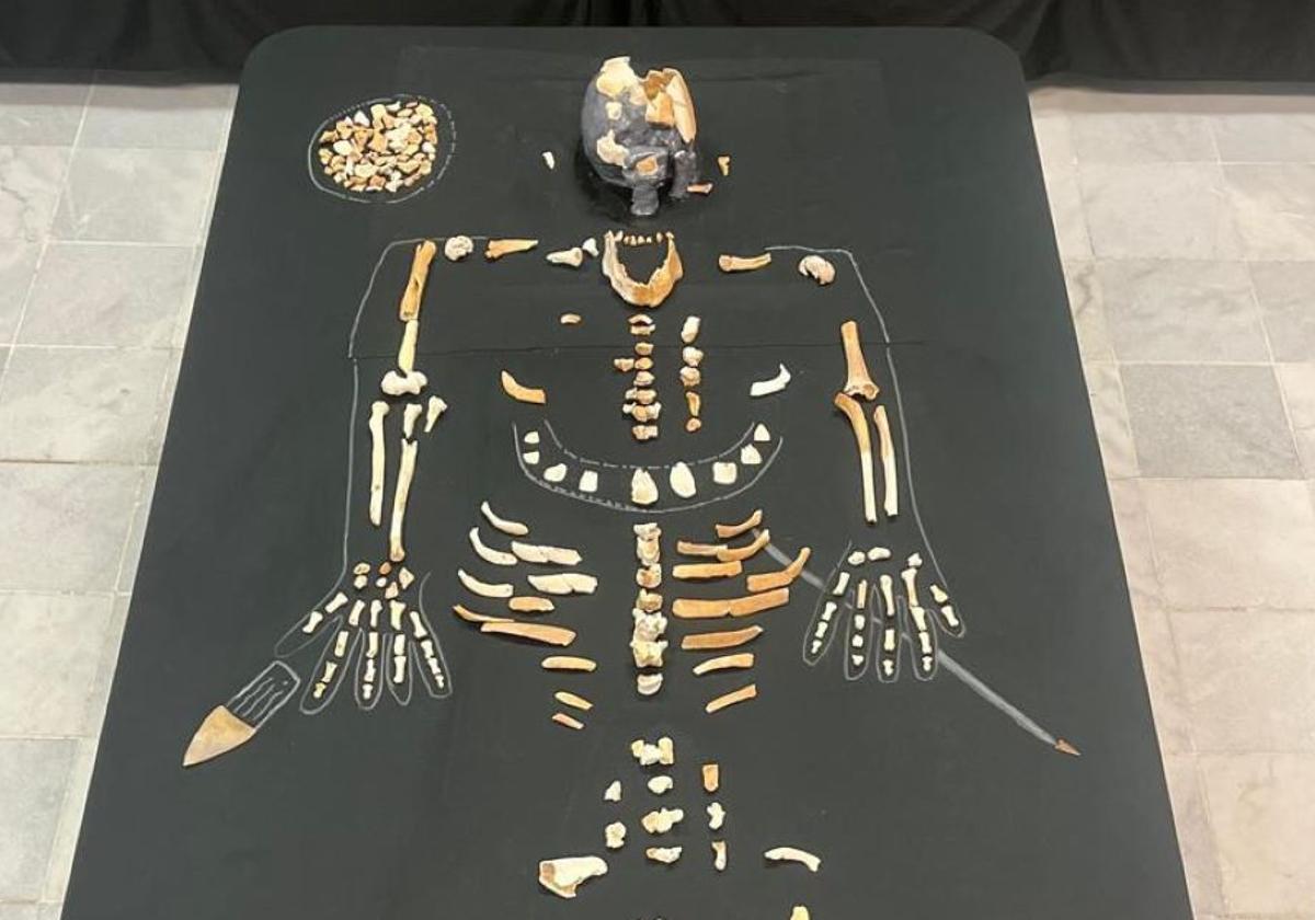 Los restos del Hombre de Bilbao.