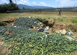 Una empresa malagueña denunciará a Hamburgo por negligencia