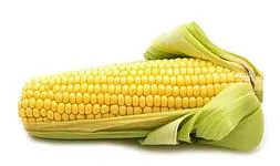El maíz, mejor cuanto más oscuro | El Correo