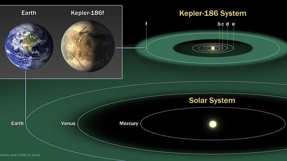 Situación del Kepler-186 en su sistema.