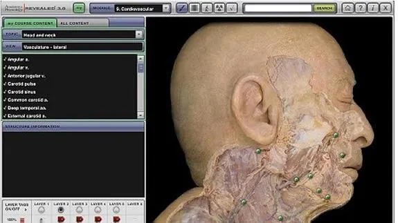 Sistema multimedia de aprendizaje de anatomía. 