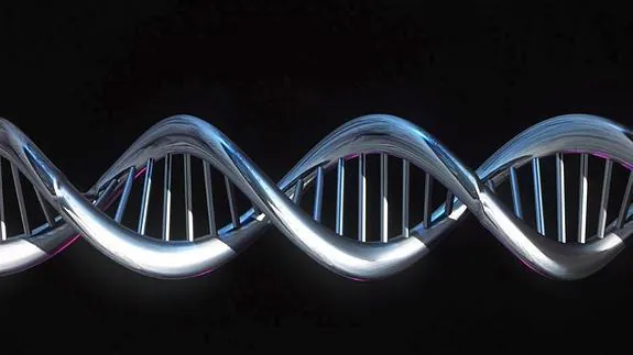 Doble hélice del ADN (imagen generada por ordenador. 
