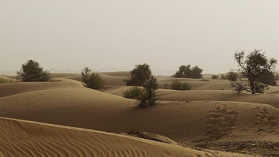 Dunas del desierto del Sáhara. 