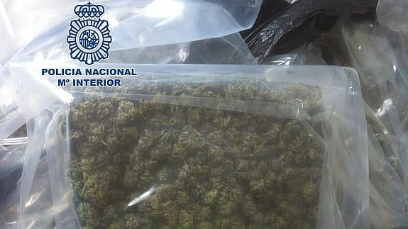 Parte de la marihuana incautada durante la operación.