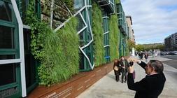 El Europa concluye su fachada vegetal con 65.000 plantas de 33 especies