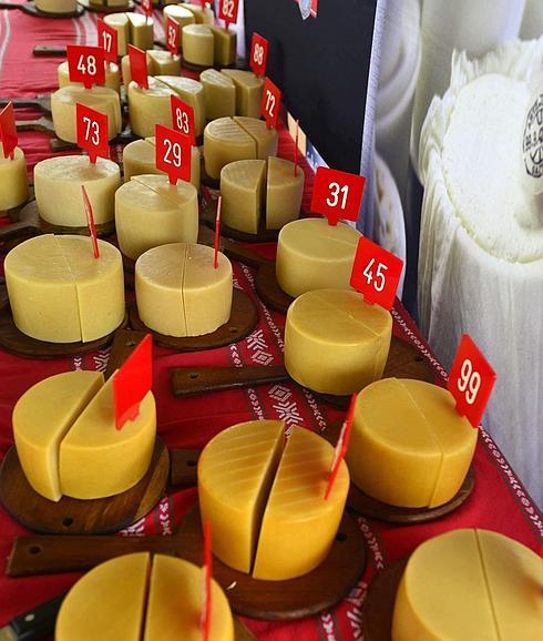Quesos vascos dispuestos en una cata a ciegas. 