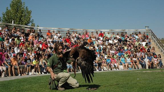 Exhibición de vuelo de aves rapaces en Sendaviva.