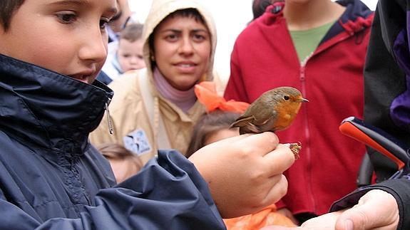 Un niño con un pájaro durante una anterior edición del Día Mundial de las Aves en el Centro de Interpretación de Salburua, en Vitoria.