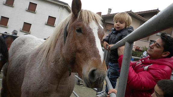 Asistentes a la tradicional feria de San Martín, en Campezo, miran a los animales