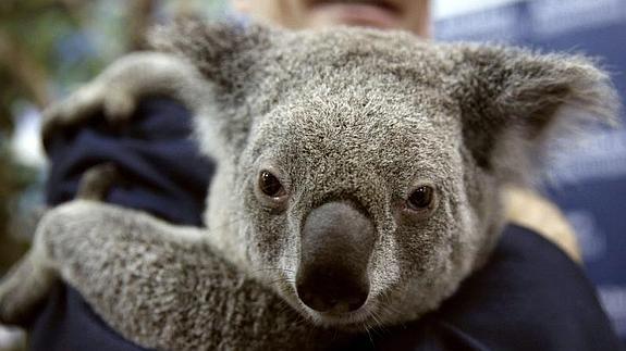 Jimbelung pasó de brazo en brazo durante su encuentro con los mandatarios del G-20. 