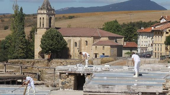 TRabajo en las salinas. 