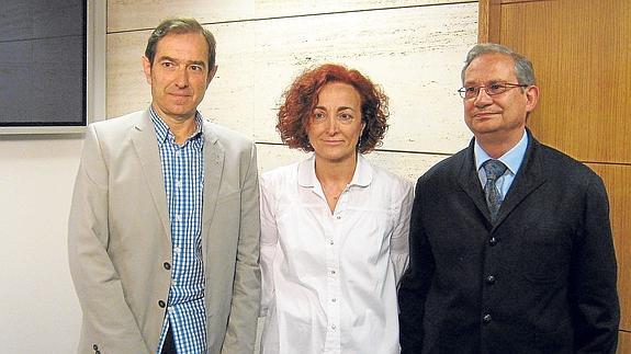 Pinilla, Sacristán y Torroba hablaron ayer de los nuevos antivirales que se está suministrando a enfermos riojanos.