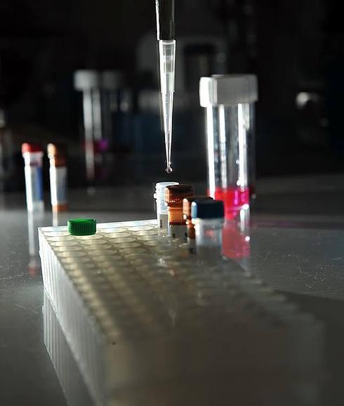 Un investigador realiza unas pruebas de ADN. 