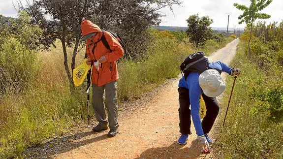 Dos peregrinos recogen desperdicios en un tramo del Camino de Santiago.