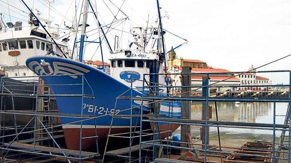 Cruzada para salvar in extremis una merlucera en Bermeo