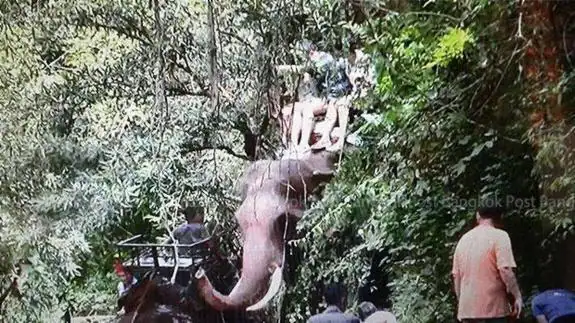 Momento en que el elefante es atraído por otros adiestradores para rescatar a los turistas.