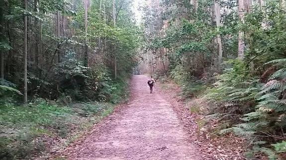 Imagen de una peregrina en el Camino de Santiago.