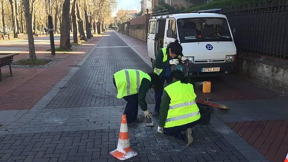 Operarios municipales instalan los soportes para los bolardos. 