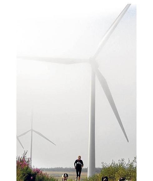 Una persona hace deporte acompañada de sus perros en un parque eólico.