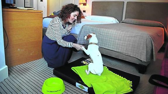 En el Hotel Ercilla, Elena y Mina disponen de camita, bebedero y ‘chuches’.