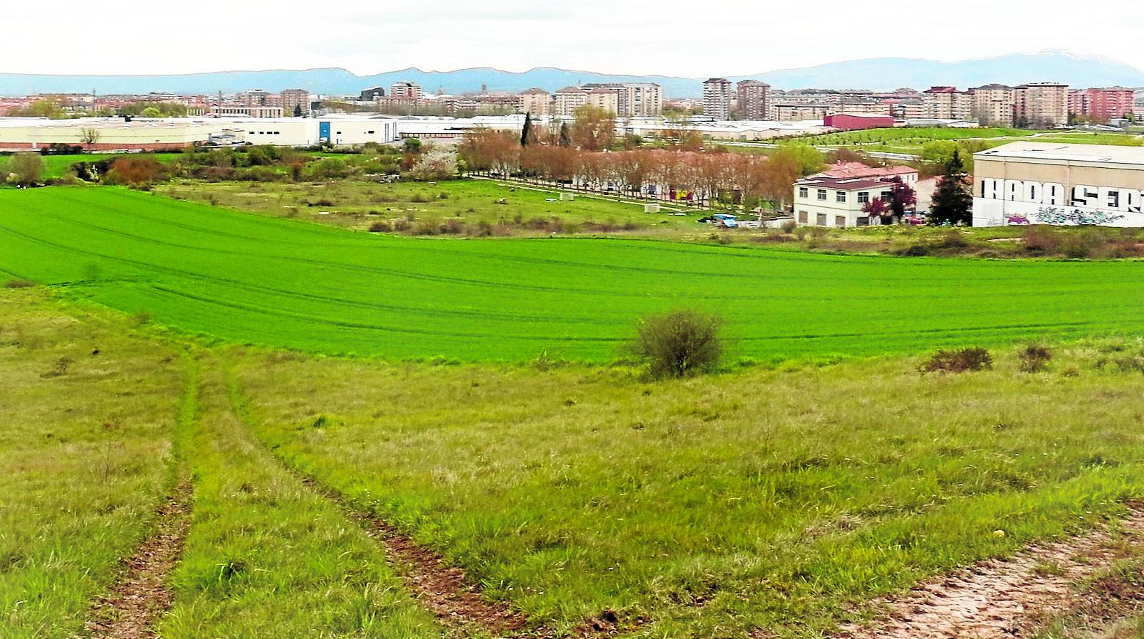 Sector 14 de Salburua (Olarán), el que tenía previsto levantarse tras el derribo de Errekaleor, con 1.511 pisos. 