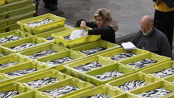 El puerto se ha quedado sin cajas y sin hielo. 