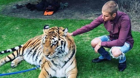 Justin Bieber acariciando al tigre.