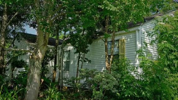 En la vivienda se conserva un grabado de madera hecho por la propia Janis.