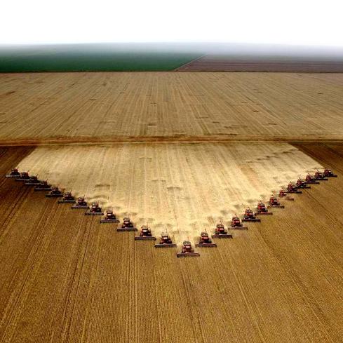 Cosechadoras en terrenos de Mato Grosso (Brasil) ganados a la selva para el cultivo de soja. 