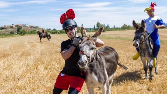 En la carrera de este año participaron siete burros de Baños de Río Tobía y la localidad ‘caracolera’.