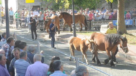 La feria ganadera de Salvatierra despierta el interés de numerosos ciudadanos.