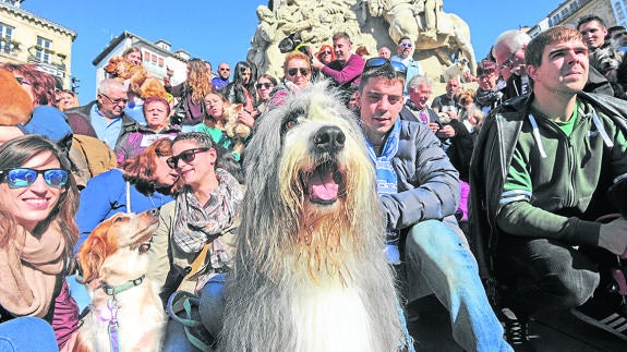 La plaza de la Virgen Blanca acogió la protesta.