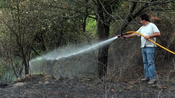 Un hombre rocía con agua la tierra tras un incendio forestal en Galdakao.