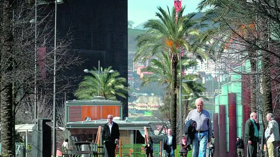 Palmeras plantadas en el paseo de Abandoibarra, cerca del Palacio Euskalduna.