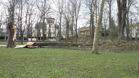 Árboles del parque de el Prado han caído debido a las fuertes rachas de viento.