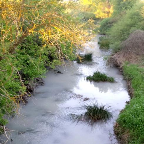 Aspecto del Zadorra días después del vertido.
