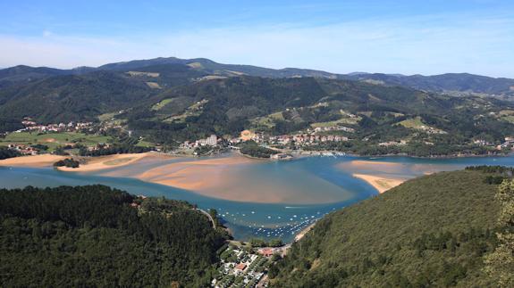 La cámara vasca insta a impulsar un proceso participativo en Urdaibai. 