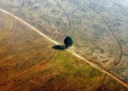 La cara más agria del Amazonas./ Foto: REUTERS