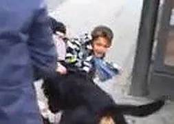 Impactantes imágenes de un rottweiler atacando a un niño