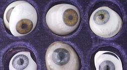 Ojos de cristal en la Wellcome Collection.