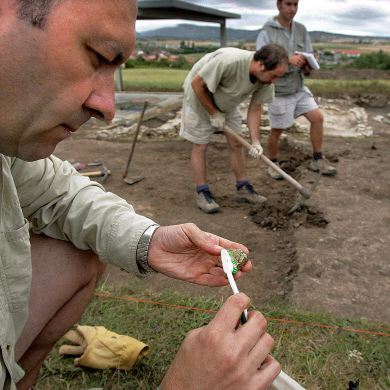 YACIMIENTO. Los arqueólogos excavan en el asentamiento alavés de Iruña-Veleia. / NURIA GONZÁLEZ